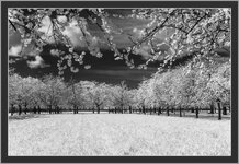 IMG_5543-3r.jpg