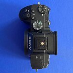 IMG_2386.jpeg