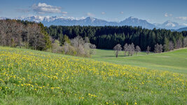 Ostallgäu-023.jpg