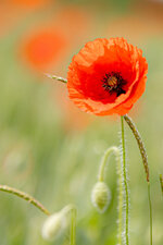 2022_05_21_6058-bea_1 - Kopie.jpg