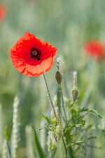 2022_05_21_6062-bea2 - Kopie.jpg