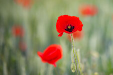 2022_05_21_6074-bea - Kopie.jpg