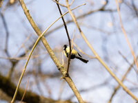 P4130112-Bearbeitet.jpg