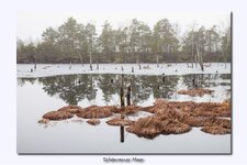 IMG_0410r.jpg IMG_0410r.jpg