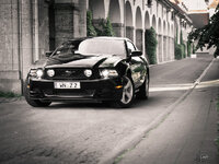 Ford Mustang 5.0 V8 GT-5248247-XL.jpg