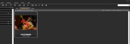 screen5.jpg