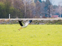 P4130008-2-Bearbeitet.jpg