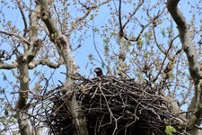 IMG_3604.jpeg