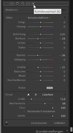 Korrekturpinsel_Lightroom.jpg