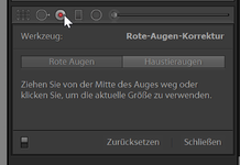 RoteAugen_Lightroom.png