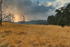 IMG_5243.jpg