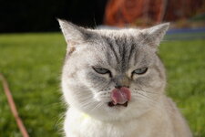 _DSC0475-felix.JPG