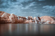 comp_DSC_3612.jpg