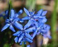 blau 3.jpg blau 3.jpg