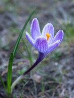 krok 2.jpg krok 2.jpg