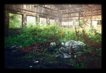 Halle II-2.jpg Halle II-2.jpg