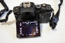 SonyA7Re.JPG