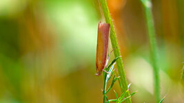 MINI_STACK_P1325420_f.jpg