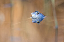 20220323-IMG_0953-b.jpg
