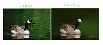 Original-3350 Original + Bea.jpg