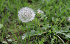IMG_2046(1).png