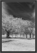 IMG_5313-3r.jpg