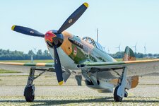 YAK 9b.jpg