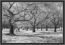 IMG_5314-3r.jpg