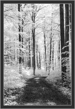 IMG_5752-3r.jpg