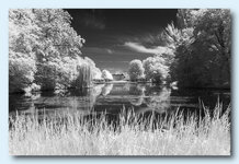 IMG_5951-rf.jpg