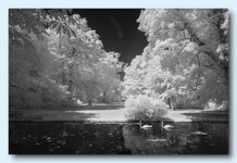 IMG_5943-rf.jpg