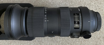 Sigma60-600mm_Canon-1.jpg