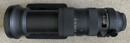 Sigma60-600mm_Canon-2.jpg