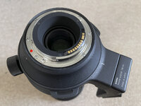 Sigma60-600mm_Canon-5.jpg