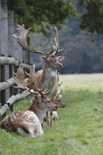 EOS 7D_9356_09_08_2013.JPG