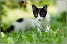 IMG_0447_2.jpg