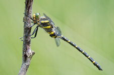 M1X21721_DxO.jpg