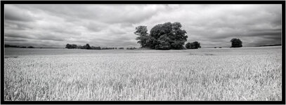 img2019_06_28_163611-Pano-Bearbeitet.jpg