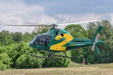 T-birds-15wz.jpg