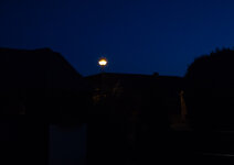 L1000590-2.jpg