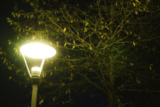 DSC03536_RT_reset_plus_0EV_WB_daylight_contrast_40_resize_1000_80.jpg