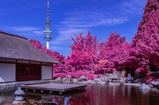 Japanischer Garten.jpg