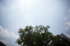 P1012547.jpg