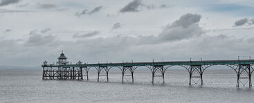 clevedon pear 2.jpg