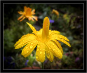 IMG_20200803_085718.jpg IMG_20200803_085718.jpg