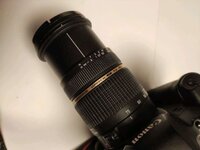 tamron2.jpg