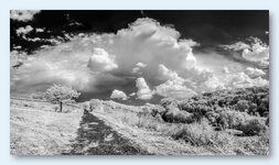 IMG_6545 - IMG_6554-rf.jpg