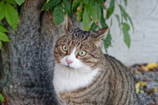 DSC06046_DxO.jpg