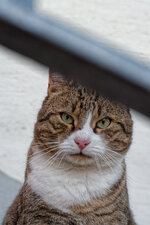 DSC06055_DxO.jpg