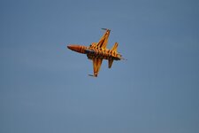 DSC_1748.jpg